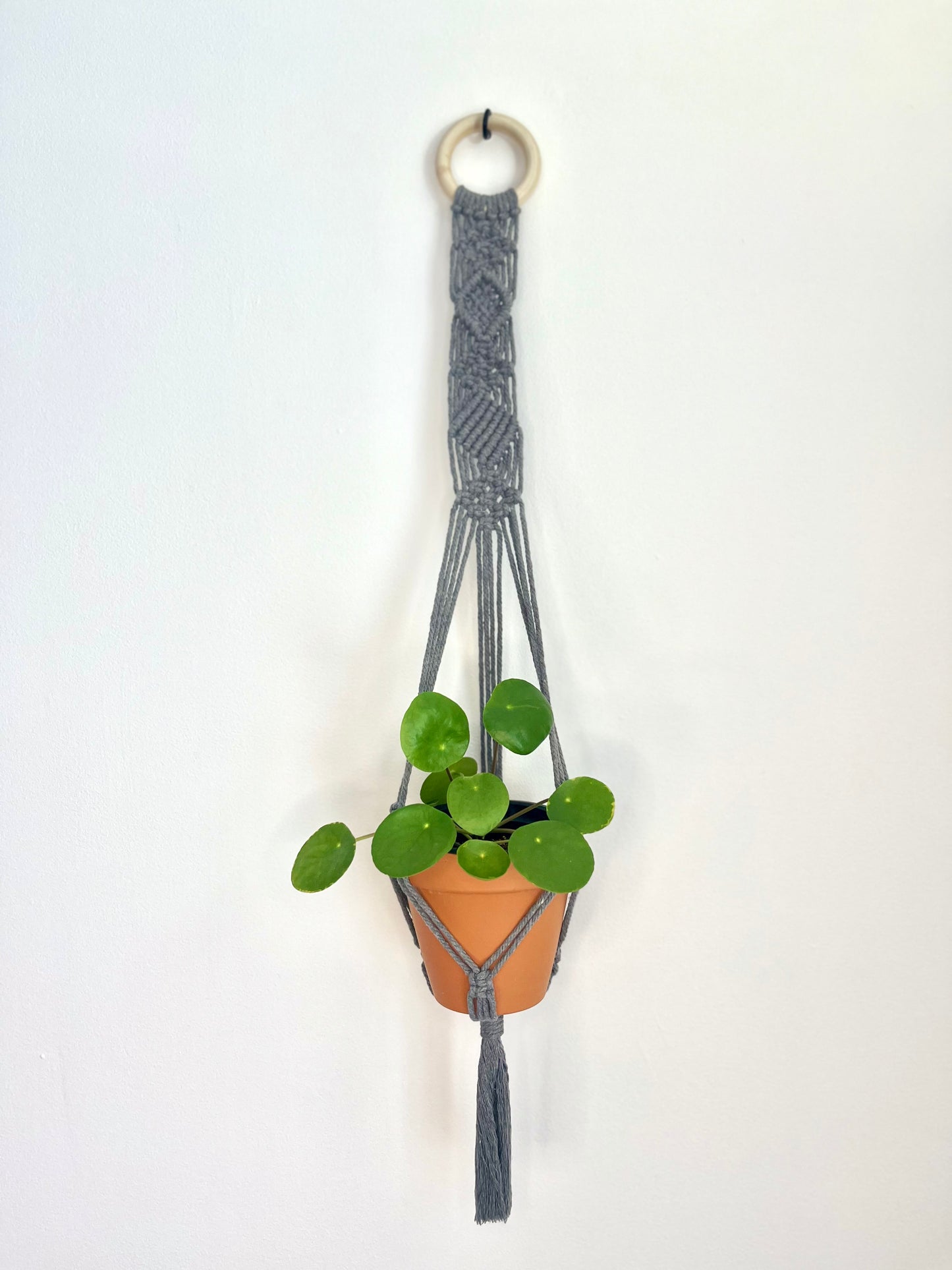 Macramé jardinière