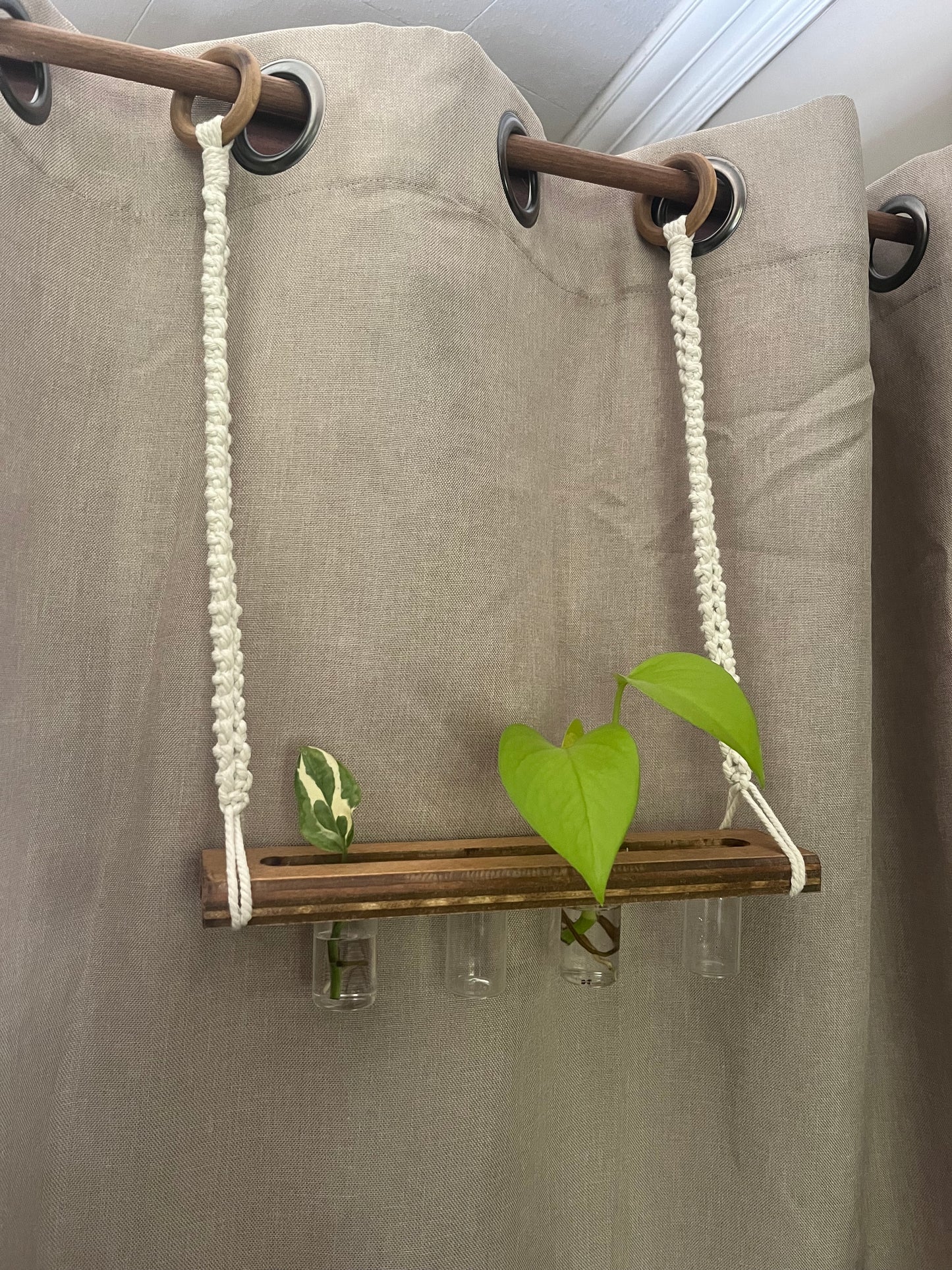 Swing-plante