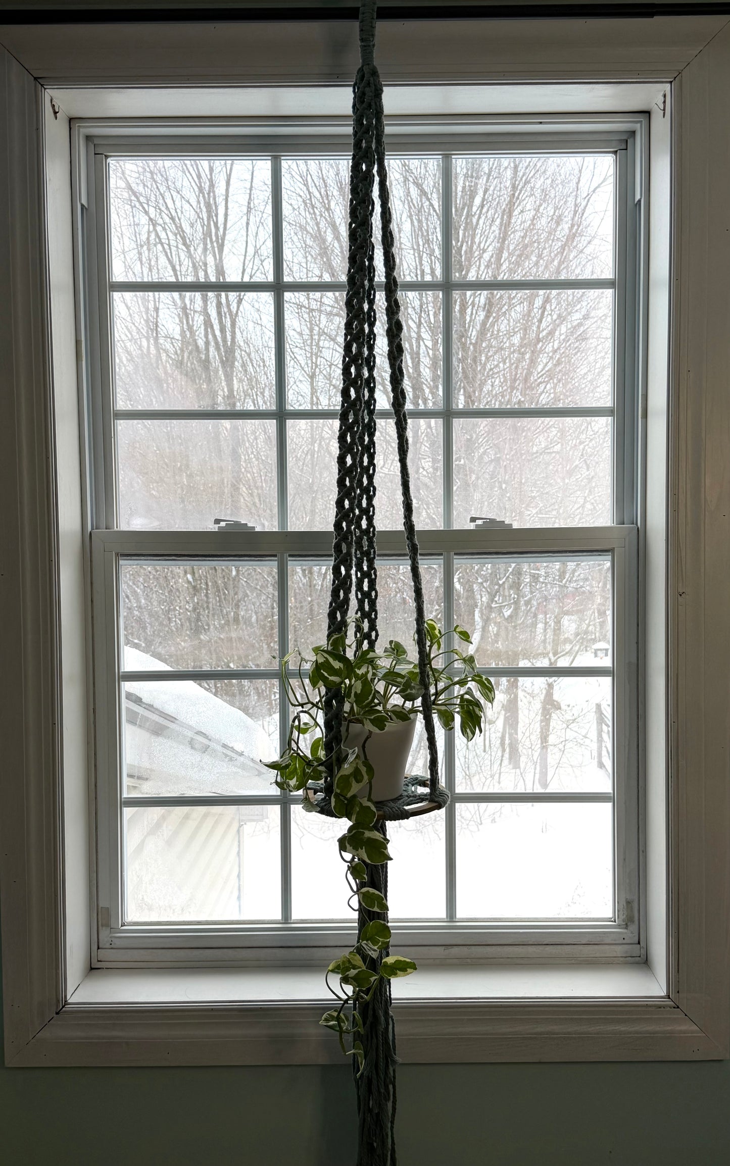 Balançoires pour plantes