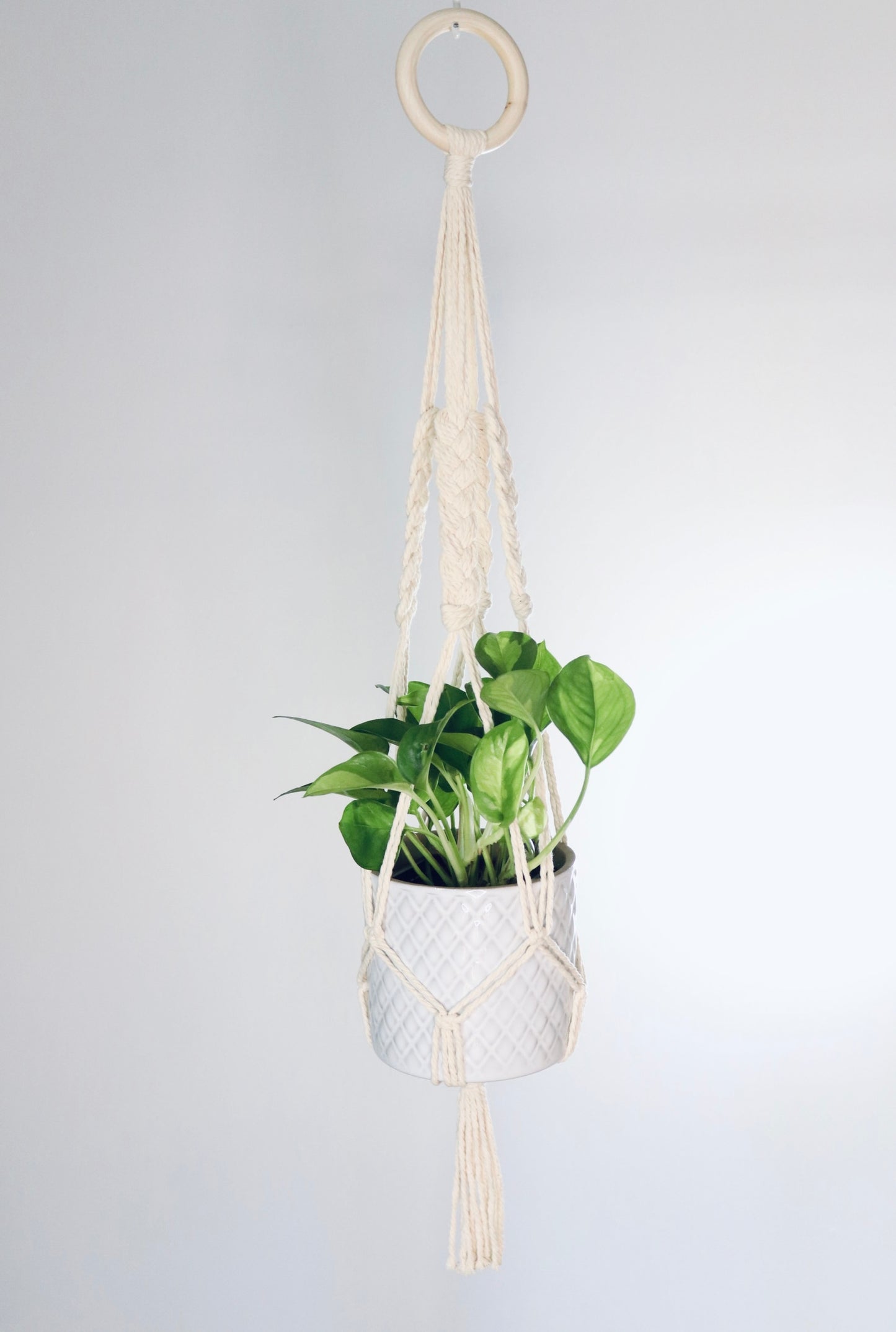 Macramé plante tressé