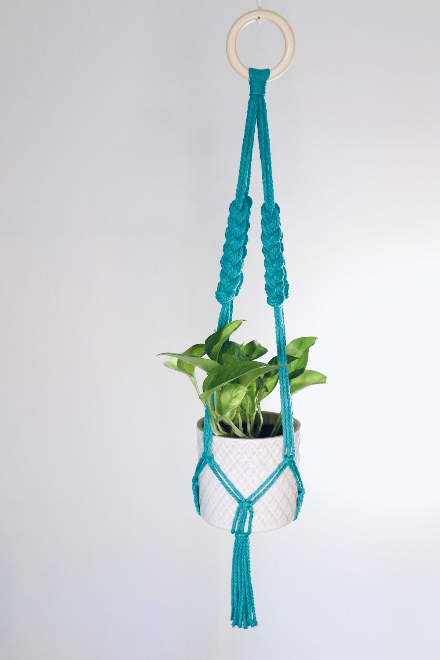 Macramé plante tressé
