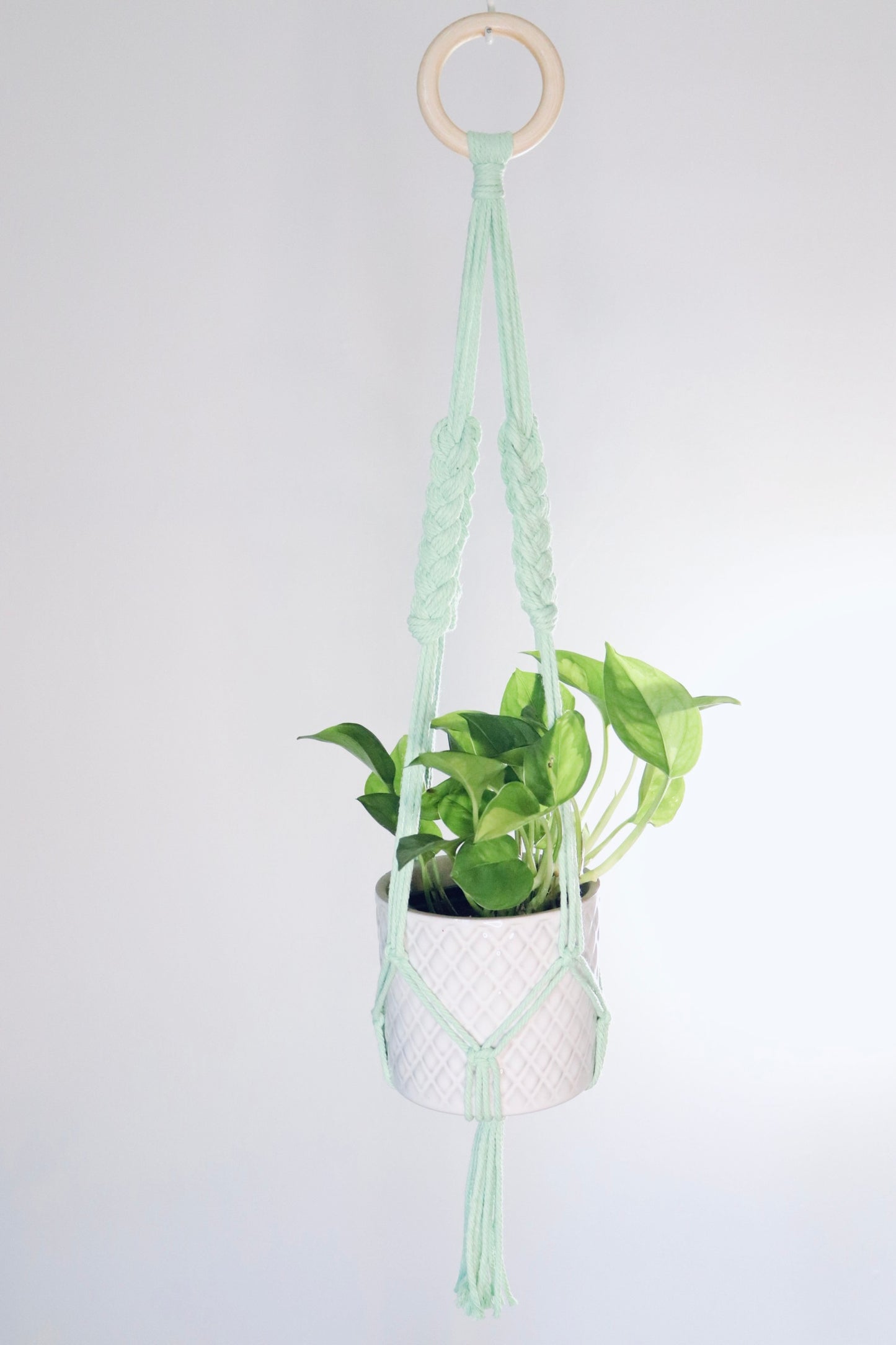 Macramé plante tressé