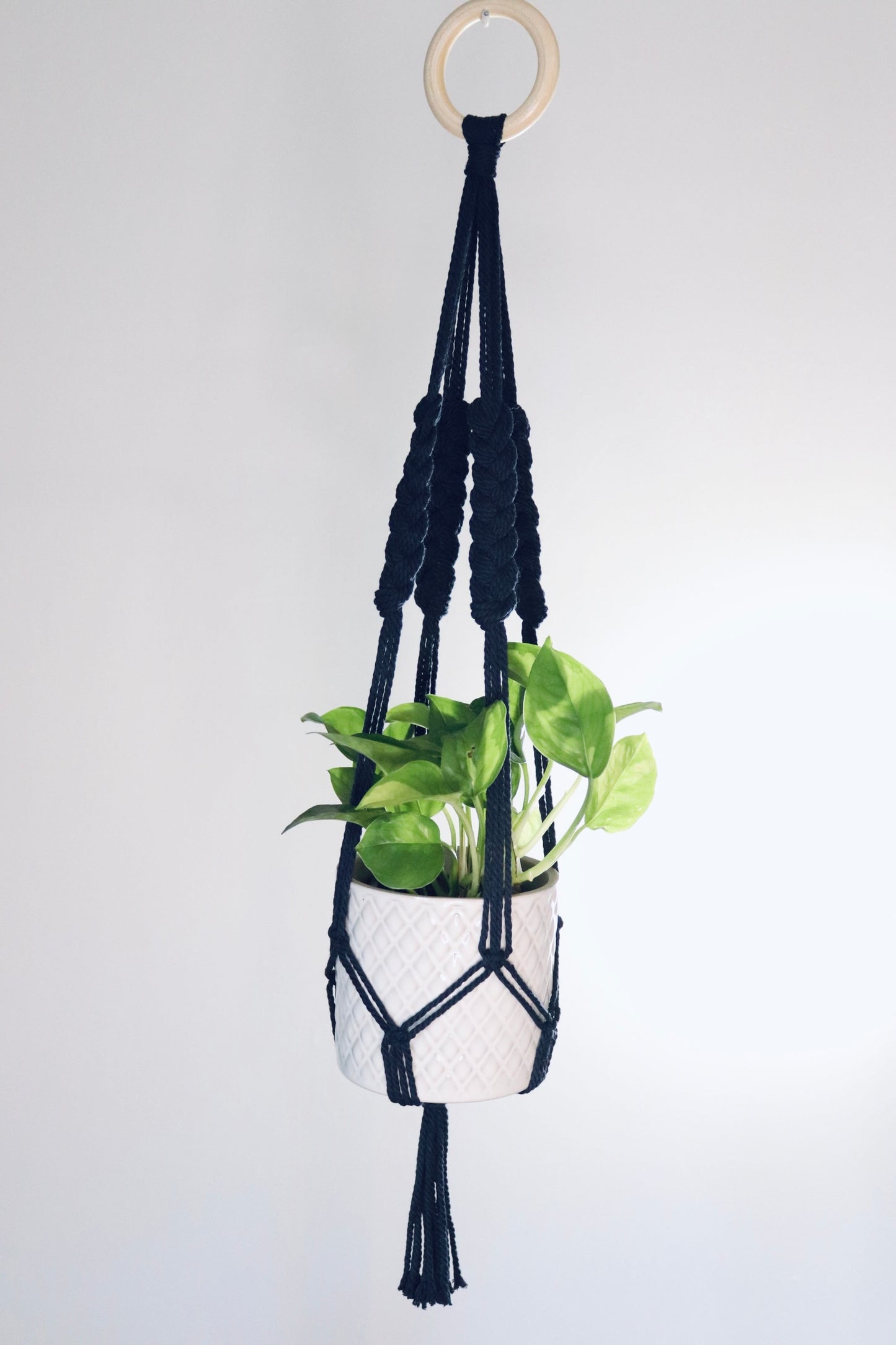 Macramé plante tressé