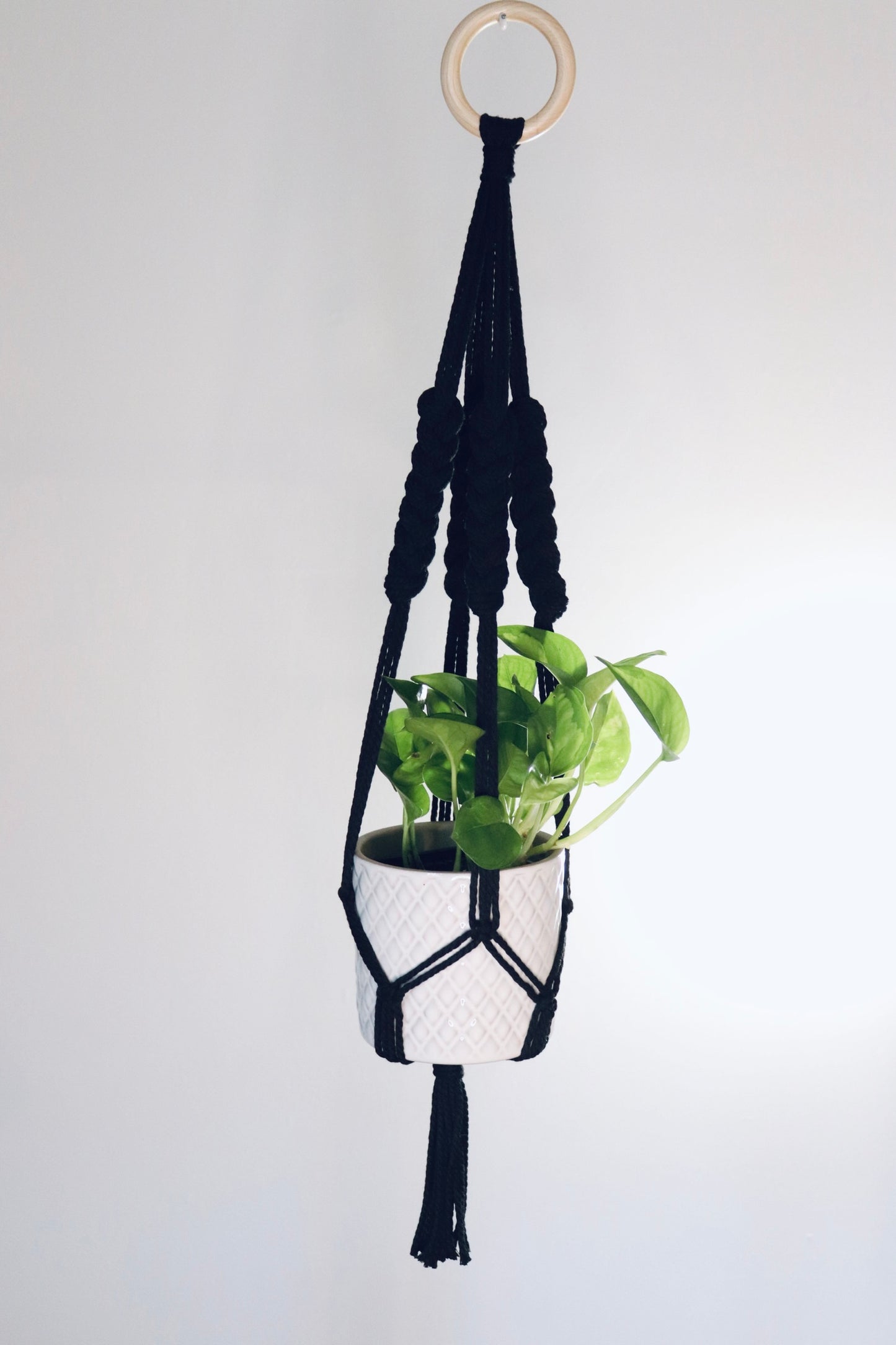 Macramé plante tressé