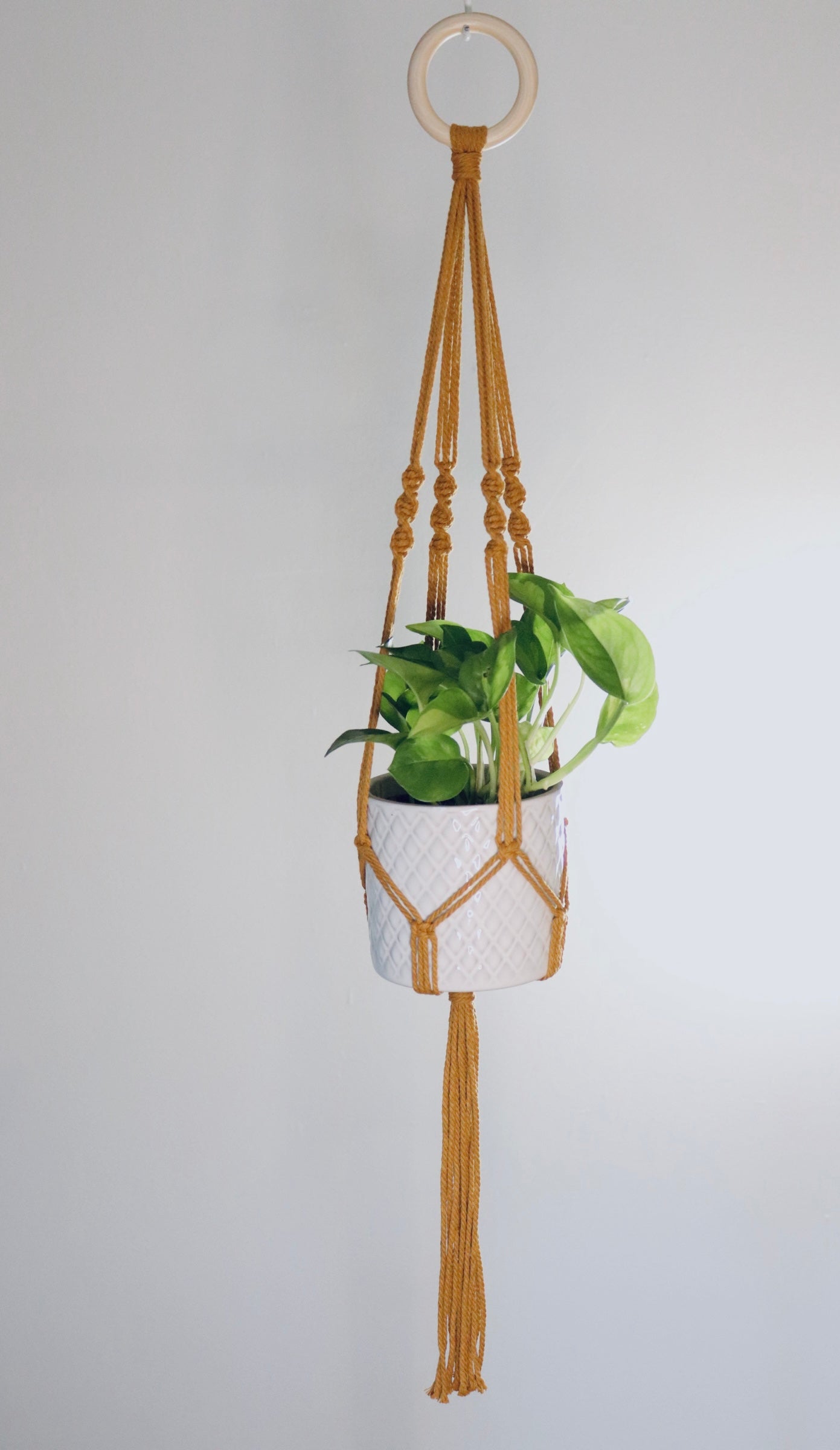 Macramé plante Spirale longue frange