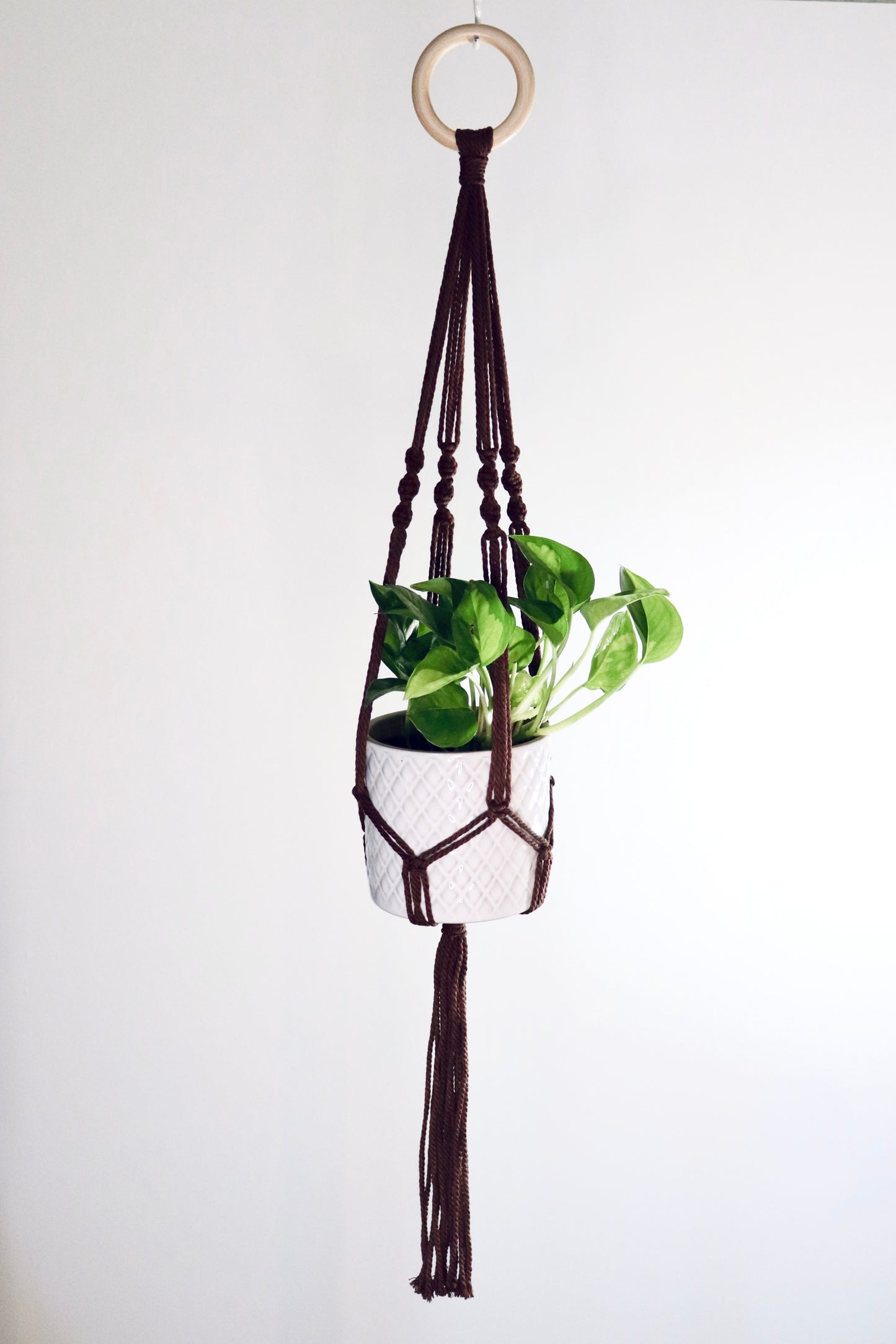 Macramé plante Spirale longue frange