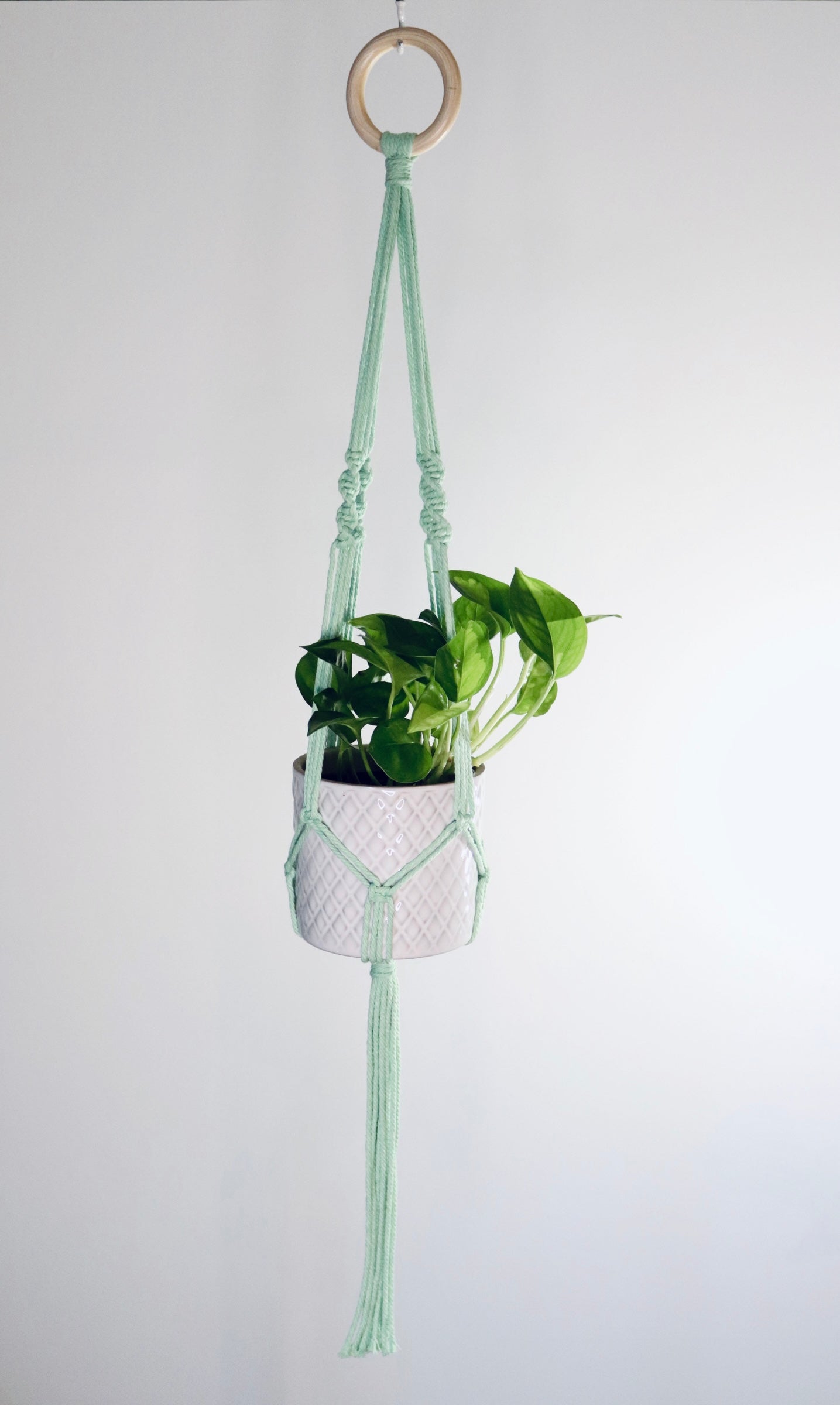Macramé plante Spirale longue frange