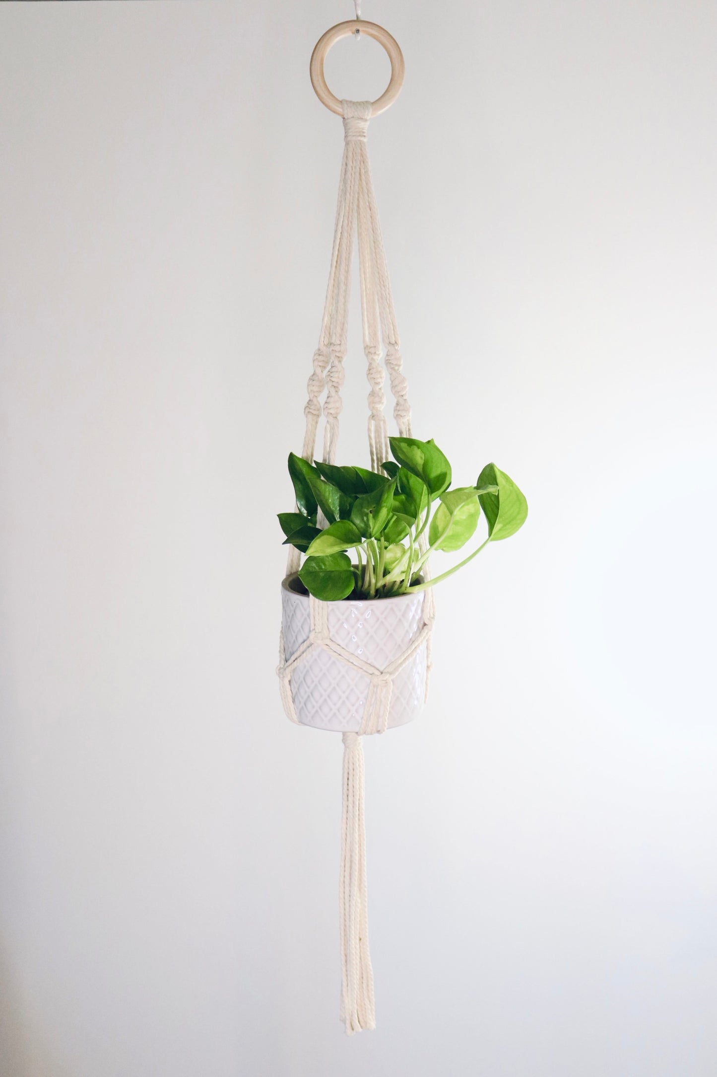 Macramé plante Spirale longue frange