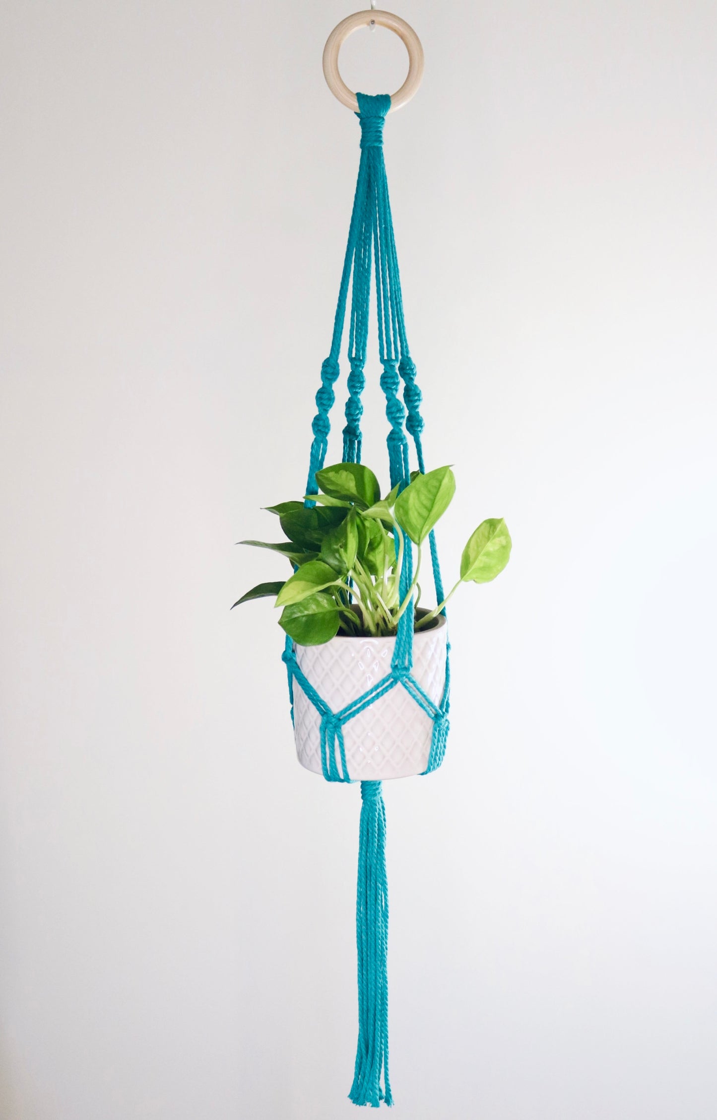 Macramé plante Spirale longue frange