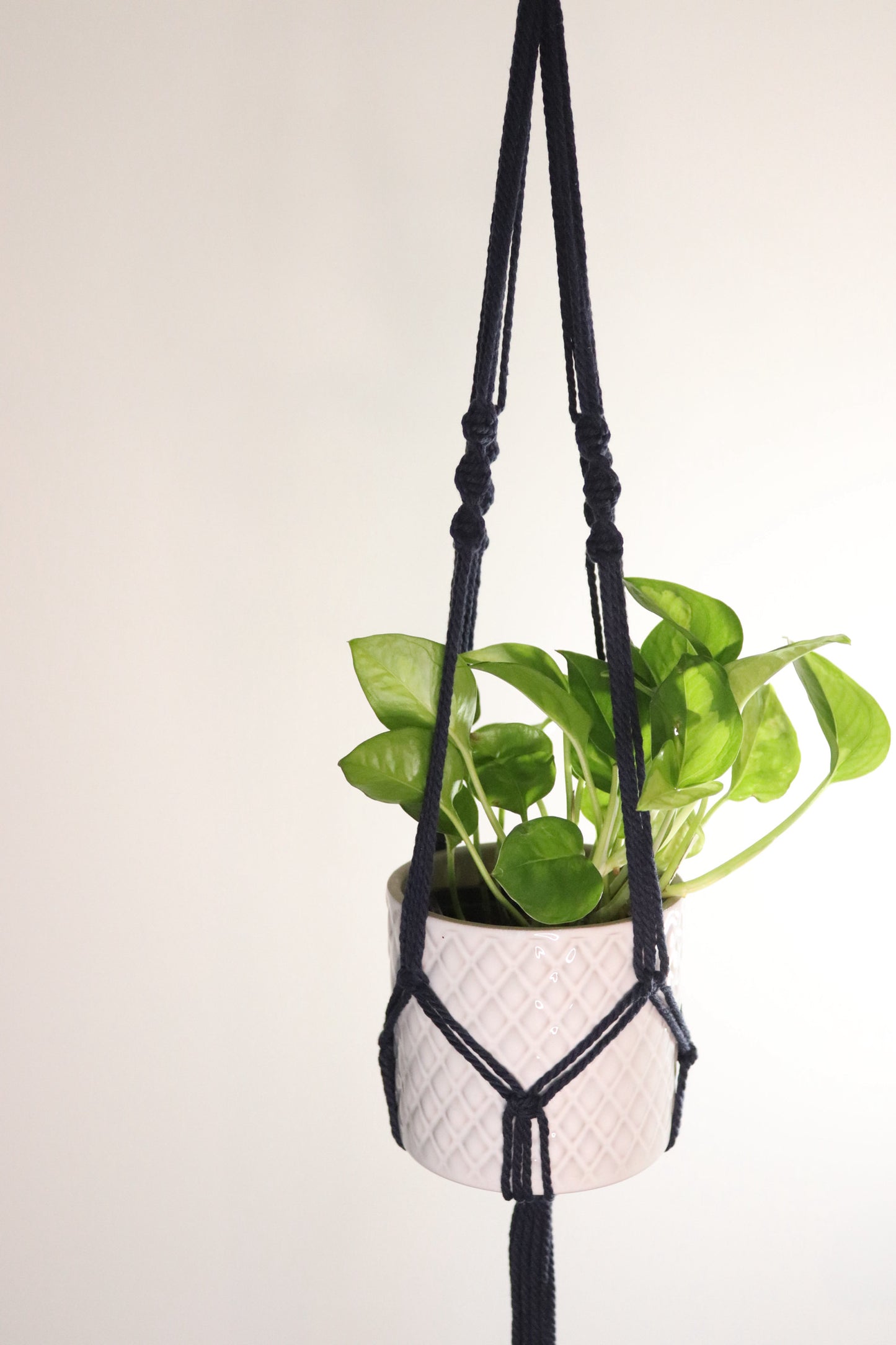 Macramé plante spirale courte frange