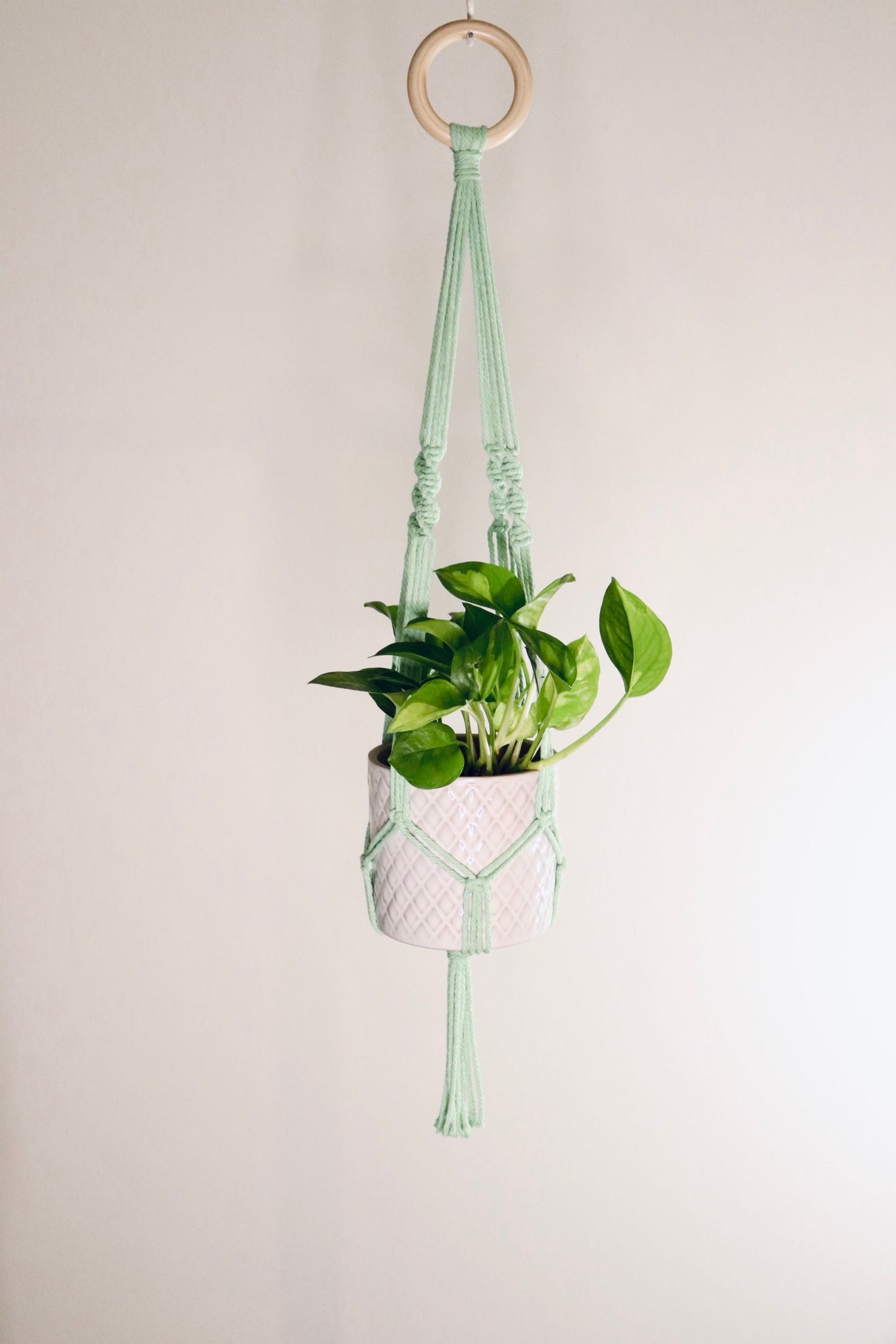 Macramé plante spirale courte frange