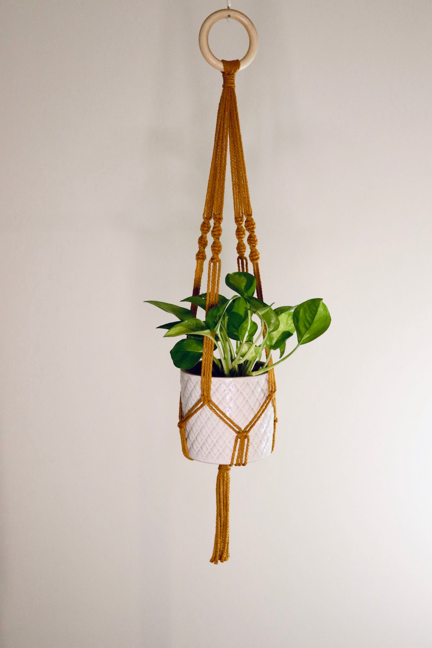 Macramé plante spirale courte frange