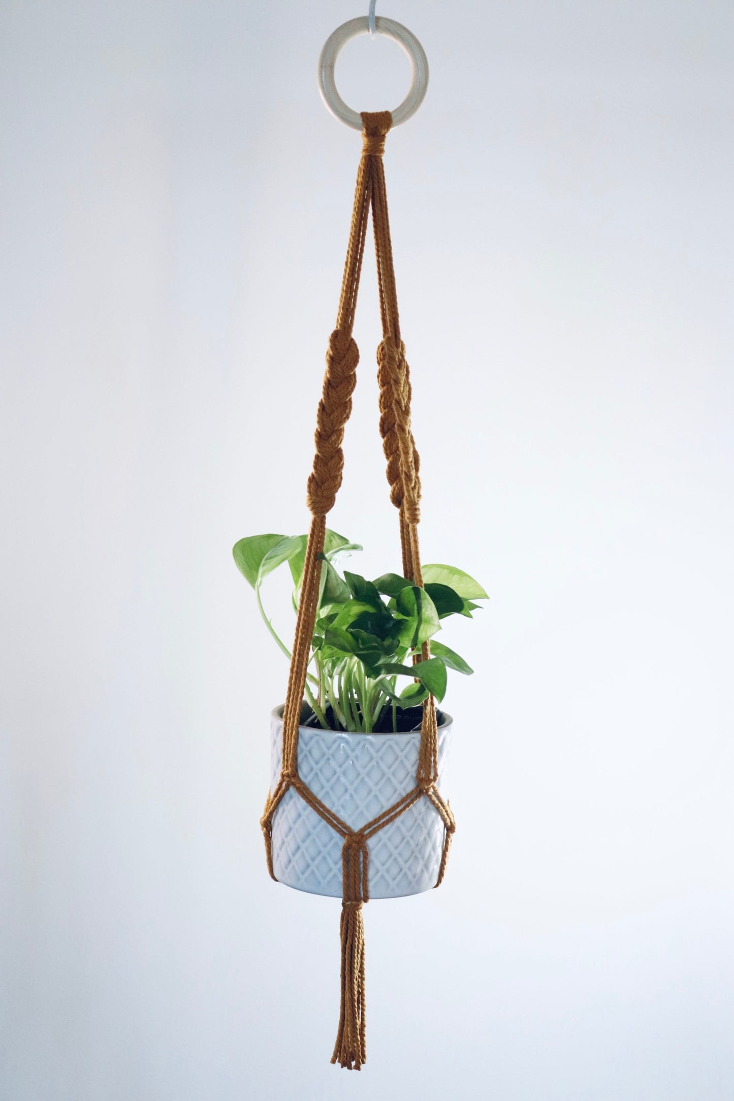 Macramé plante tressé